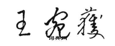 駱恆光王宛獲草書個性簽名怎么寫