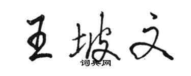 駱恆光王坡文行書個性簽名怎么寫