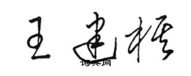 駱恆光王建棋草書個性簽名怎么寫