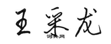 駱恆光王采龍行書個性簽名怎么寫