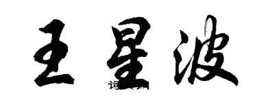 胡問遂王星波行書個性簽名怎么寫