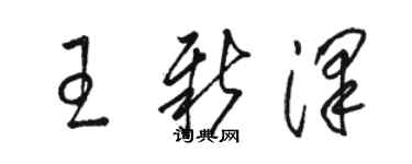 駱恆光王新澤草書個性簽名怎么寫