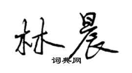 曾慶福林晨行書個性簽名怎么寫