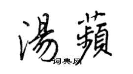 王正良湯苹行書個性簽名怎么寫