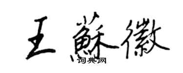 王正良王蘇徽行書個性簽名怎么寫