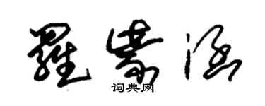 朱錫榮羅紫涵草書個性簽名怎么寫