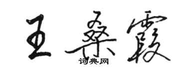 駱恆光王桑霞行書個性簽名怎么寫