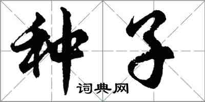 胡問遂種子行書怎么寫