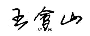 朱錫榮王會山草書個性簽名怎么寫