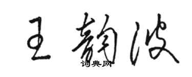 駱恆光王韻波草書個性簽名怎么寫