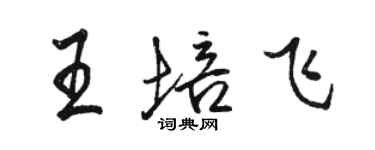 駱恆光王培飛行書個性簽名怎么寫