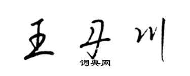 梁錦英王丹川草書個性簽名怎么寫