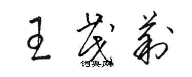 駱恆光王茂莉草書個性簽名怎么寫