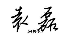 王正良袁磊行書個性簽名怎么寫