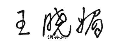 駱恆光王曉媚草書個性簽名怎么寫