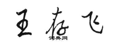 駱恆光王存飛行書個性簽名怎么寫