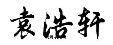 胡問遂袁浩軒行書個性簽名怎么寫