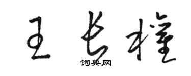 駱恆光王長權草書個性簽名怎么寫
