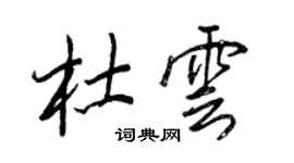 王正良杜雲行書個性簽名怎么寫