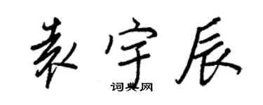 王正良袁宇辰行書個性簽名怎么寫