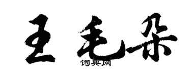 胡問遂王毛朵行書個性簽名怎么寫