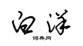 朱錫榮白洋草書個性簽名怎么寫