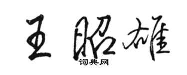 駱恆光王昭雄行書個性簽名怎么寫