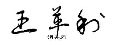 曾慶福王革利草書個性簽名怎么寫