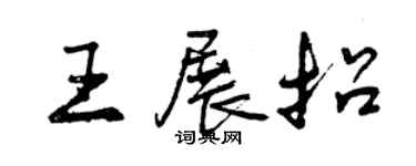 曾慶福王展招行書個性簽名怎么寫
