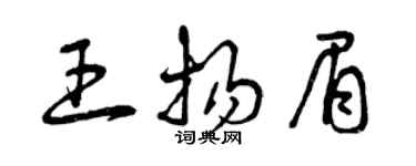 曾慶福王揚眉草書個性簽名怎么寫