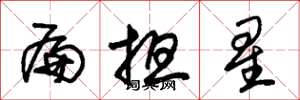 朱錫榮扁擔星草書怎么寫