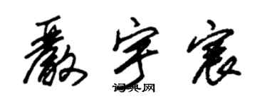 朱錫榮嚴宇宸草書個性簽名怎么寫