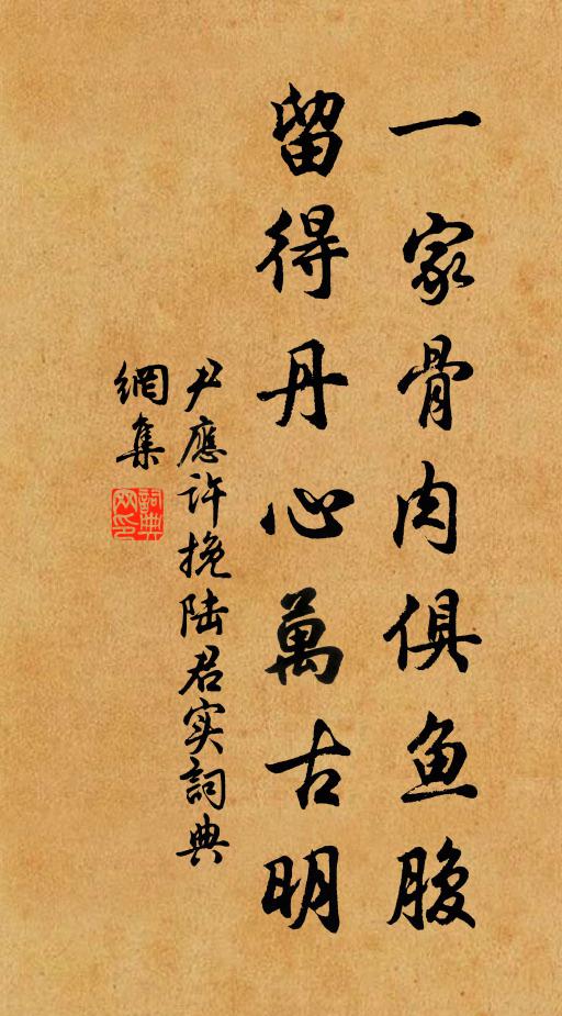 佳節直須拚酩酊,渾如仙在白雲鄉 詩詞名句