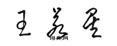 駱恆光王若星草書個性簽名怎么寫