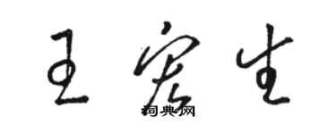 駱恆光王宏生草書個性簽名怎么寫