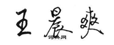 駱恆光王晨爽行書個性簽名怎么寫