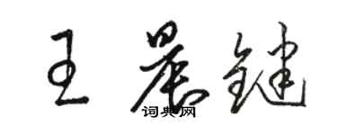 駱恆光王晨鍵草書個性簽名怎么寫