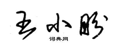 朱錫榮王小盼草書個性簽名怎么寫