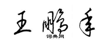 梁錦英王鵬年草書個性簽名怎么寫