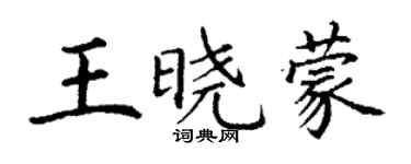 丁謙王曉蒙楷書個性簽名怎么寫