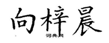 丁謙向梓晨楷書個性簽名怎么寫