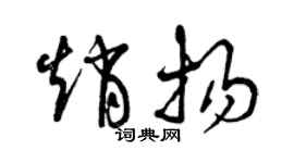 曾慶福趙揚草書個性簽名怎么寫
