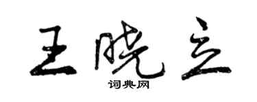 曾慶福王曉立行書個性簽名怎么寫