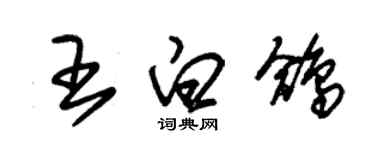 朱錫榮王白鴿草書個性簽名怎么寫