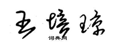 朱錫榮王培瓊草書個性簽名怎么寫