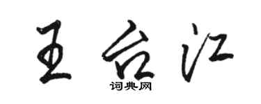 駱恆光王台江行書個性簽名怎么寫