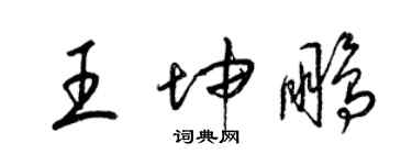 梁錦英王坤鵬草書個性簽名怎么寫