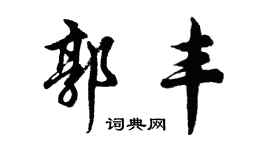 胡問遂郭豐行書個性簽名怎么寫