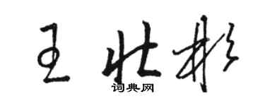 駱恆光王壯彬草書個性簽名怎么寫