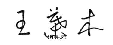 駱恆光王葉木草書個性簽名怎么寫